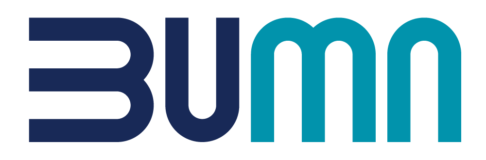 Logo BUMN